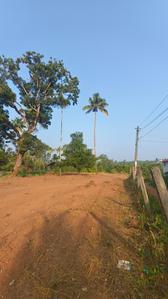 Image of 2200 Sq.ft Residential Plot / Land for sale in Irinjalakuda, Thrissur for Rs. 300000