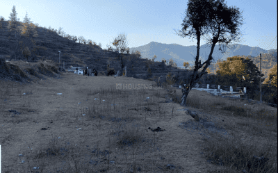 Image of 9720 Sq.ft Residential Plot / Land for sale in Balta, Almora for Rs. 6000000