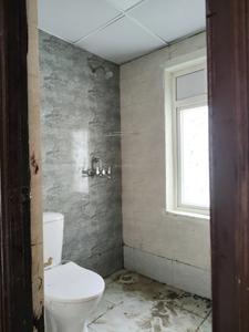 Common Bathroom Image of 920 Sq.ft 2.5 BHK Apartment / Flat for rent in Amrapali Dream Valley 2, Noida Extension Greater Noida for Rs. 18100