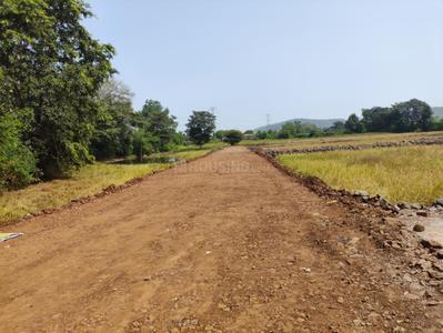 Barela Plot View 2
