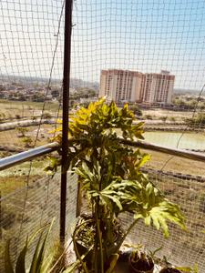 Balcony Image of 1551 Sq.ft 3 BHK Apartment / Flat for sale in R G Euphoria, Vrindavan Yojana Lucknow for Rs. 12500000