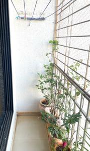 Balcony Image of 605 Sq.ft 1 BHK Apartment / Flat for sale in Thane West Thane for Rs. 6500000