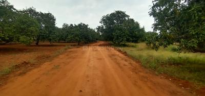 Image of 12905 Sq.ft Residential Plot / Land for sale in Melur, Madurai for Rs. 2475000