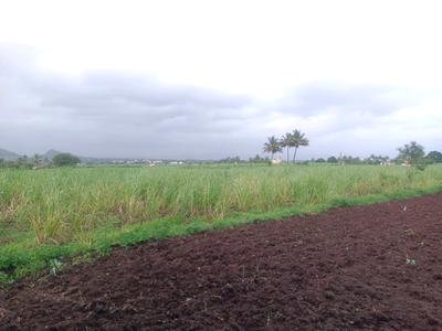 Image of 1089 Sq.ft Residential Plot / Land for sale in Punade, Raigad for Rs. 200000