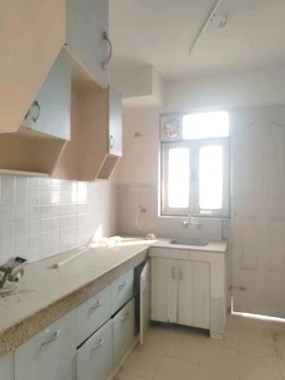 Tulip White Main Image 1