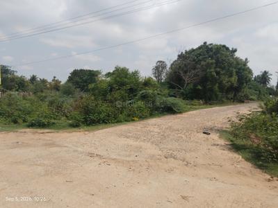 Paiyanur Plot View 3