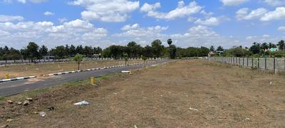 Residential Plot