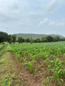 Image of 4000 Sq.ft Residential Plot / Land for sale in Simrol, Indore for Rs. 1200000