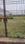Naubatpur Main Image 1