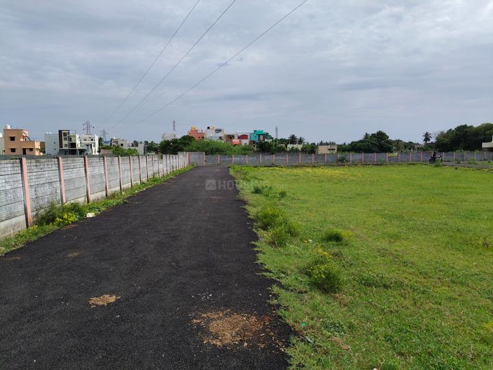 Apex developer Main Image 1