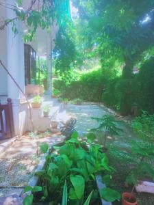 Image of 9500 Sq.ft 6 BHK Independent House for sale in Butler Colony, Lucknow for Rs. 120000000