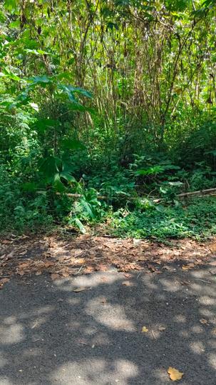 AECS C Block, Begur Main Image 1