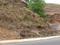 Cheog Plot View 2