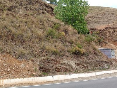 Cheog Plot View 2