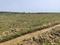 Investment plot Plot View 2