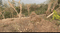 Morni Hills Main Image 1