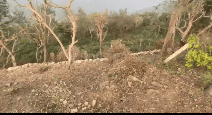 Morni Hills Main Image 1