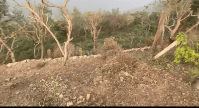 Morni Hills Plot View 1