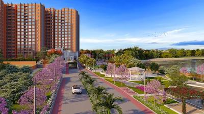 Image of 1200 Sq.ft 2 BHK Apartment / Flat for sale in Concorde Neo, Agrahara Layout, Bengaluru for Rs. 12720517