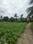 Sonarpur Plot View 2