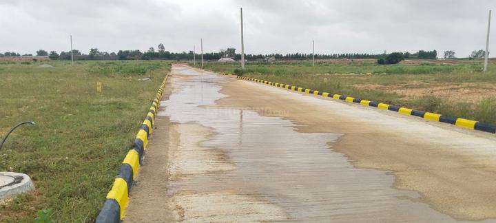 Fortune Butterflycity Extension Main Image 1