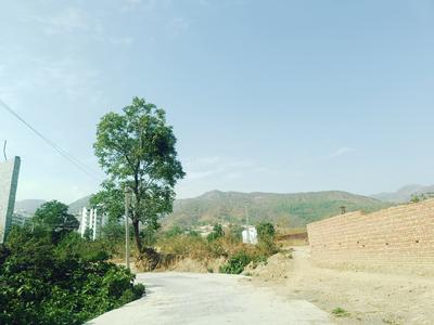 Image of 2250 Sq.ft Residential Plot / Land for sale in Sahastradhara Road, Dehradun for Rs. 13000000