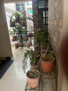 Balcony Image of 950 Sq.ft 2 BHK Apartment / Flat for sale in Sector 44 Chandigarh for Rs. 12000000