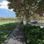 PROMISE OF SPRING Main Image 1