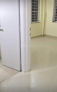Hall Image of 1550 Sq.ft 3 BHK Apartment / Flat for rent in Masibari Ranchi for Rs. 18000