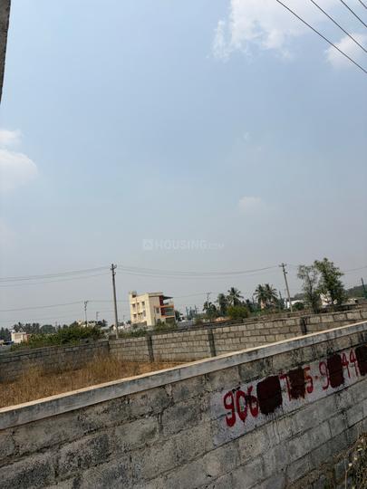Gundur Main Image 1