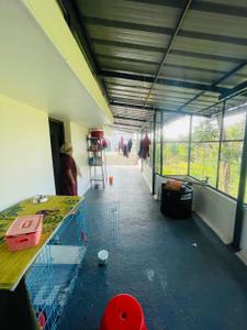 Balcony Image of 2000 Sq.ft 3 BHK Villa for sale in Aluva Kochi for Rs. 5500000