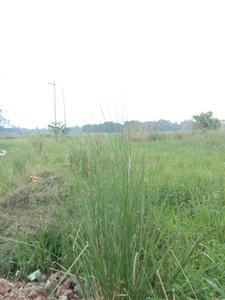 Image of 720 Sq.ft Residential Plot / Land for sale in Fresco Fountain City Plots, Sankharipota, Raypur for Rs. 290000