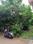 Samardha Village Main Image 1