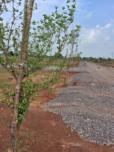 Image of 1200 Sq.ft Residential Plot / Land for sale in Khetrajpur, Sambalpur for Rs. 838801