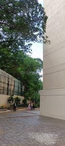 Image of 500 Sq.ft 1 BHK Apartment / Flat for sale in Lodha Crown Kolshet, Kolshet, Thane for Rs. 5900000