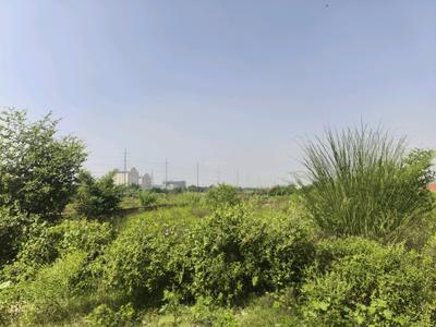 Image of 900 Sq.ft Residential Plot / Land for sale in Bhanauta, Greater Noida for Rs. 3498100