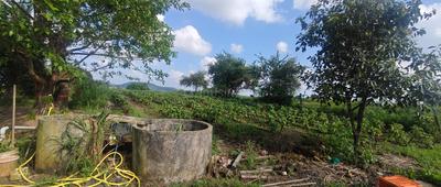 Image of 17500 Sq.ft Residential Plot / Land for sale in Dugaon, Nashik for Rs. 6800000