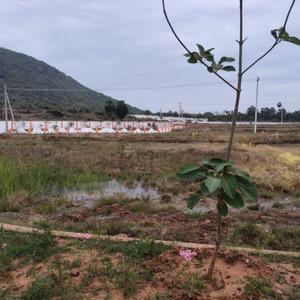 Image of 200 Sq.ft Residential Plot / Land for sale in Kapuluppada, Visakhapatnam for Rs. 4200001