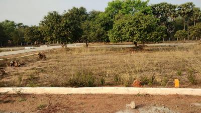 Kothavalasa Plot View 3