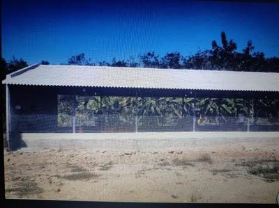 Image of 15000 Sq.ft 12 BHK Farm House for rent in IIITM Campus, Gwalior for Rs. 150000