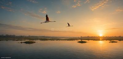Sarovan by B Safal Plot View 2