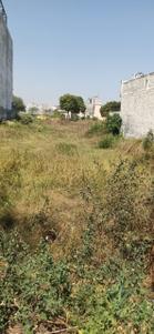 Residential Plot