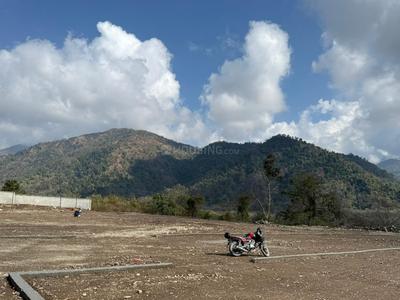 Thano Plot View 2