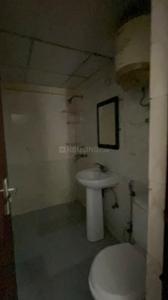 Image of 1455 Sq.ft 3 BHK Apartment / Flat for rent in Aims Golf Avenue 2, Sector 75, Noida for Rs. 35000