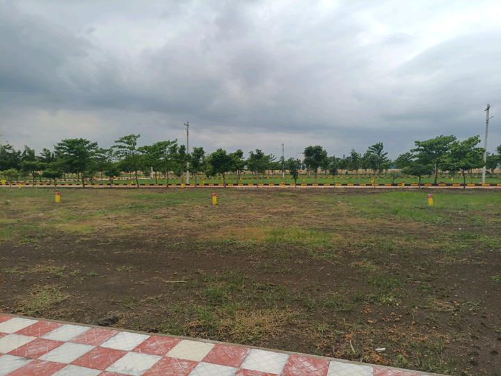 Hampton Palm Main Image 1