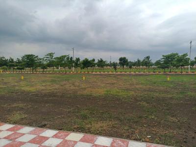 Hampton Palm Plot View 1