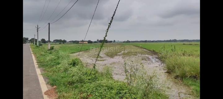 Khuntia Sahi Main Image 1