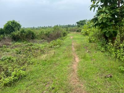 Image of 1200 Sq.ft Residential Plot / Land for sale in Kantabada, Bhubaneswar for Rs. 1800000