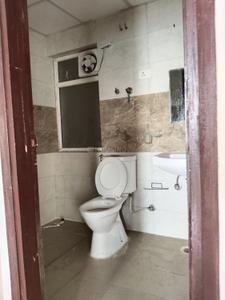 Bathroom Image of 845 Sq.ft 2.5 BHK Apartment / Flat for rent in Amrapali Riverview, Noida Extension Greater Noida for Rs. 19000