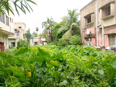 Passage Image of 1621 Sq.ft Residential Plot / Land for sale in Maheshtala Kolkata for Rs. 4000000
